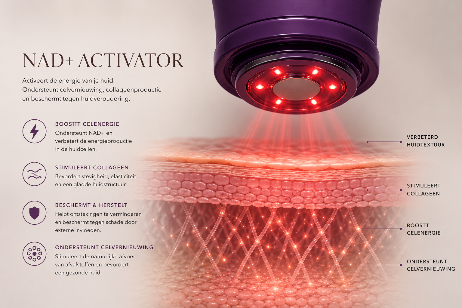 NAD+ activator: werking in de huid
